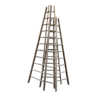 Lot 4 large painter's ladders carrying wood 1950