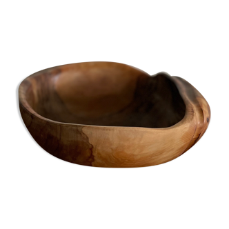 Olive shell dish