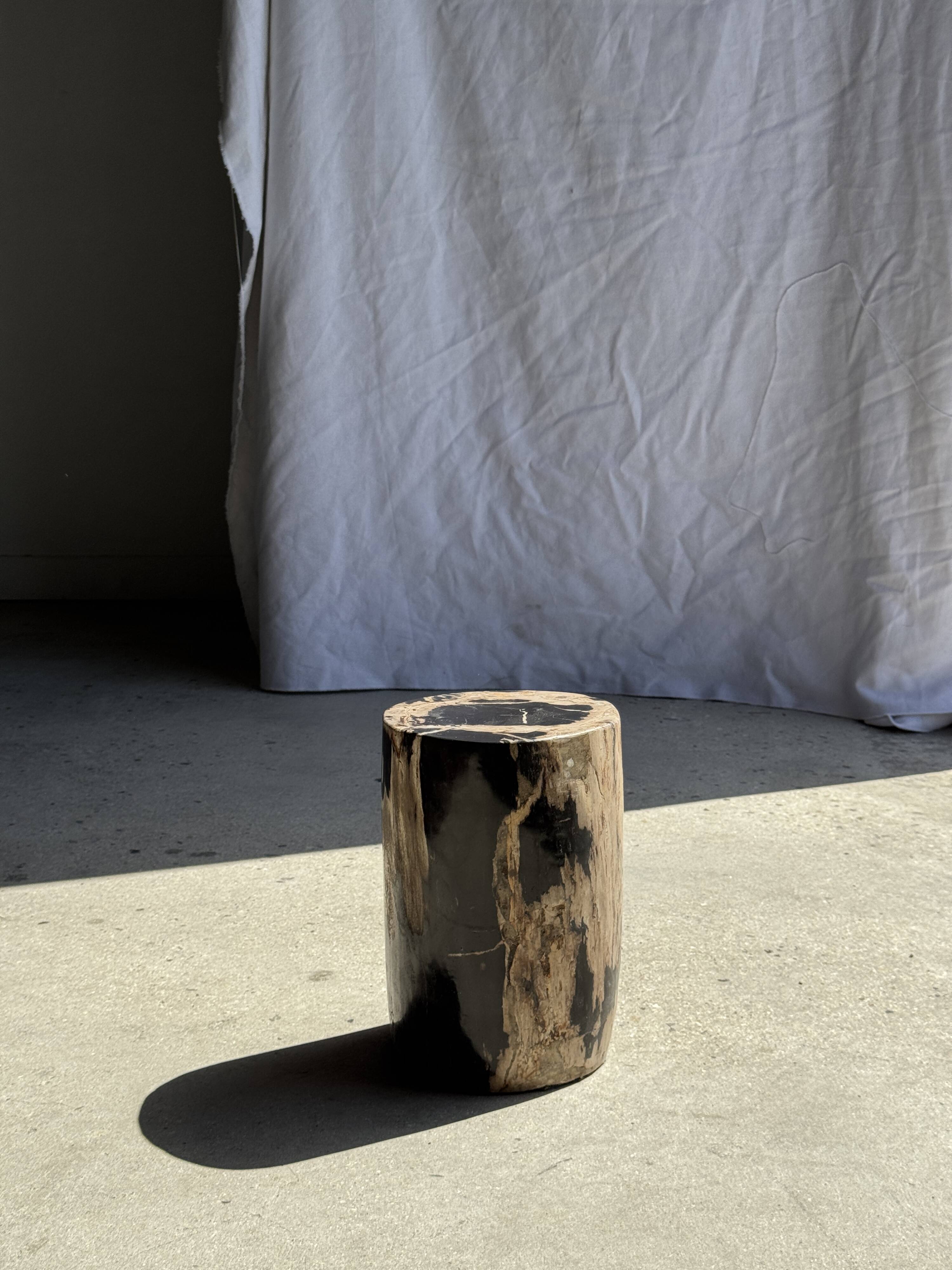 Petite table d'appoint en bois pétrifié cœur noir écorce stries noires et b