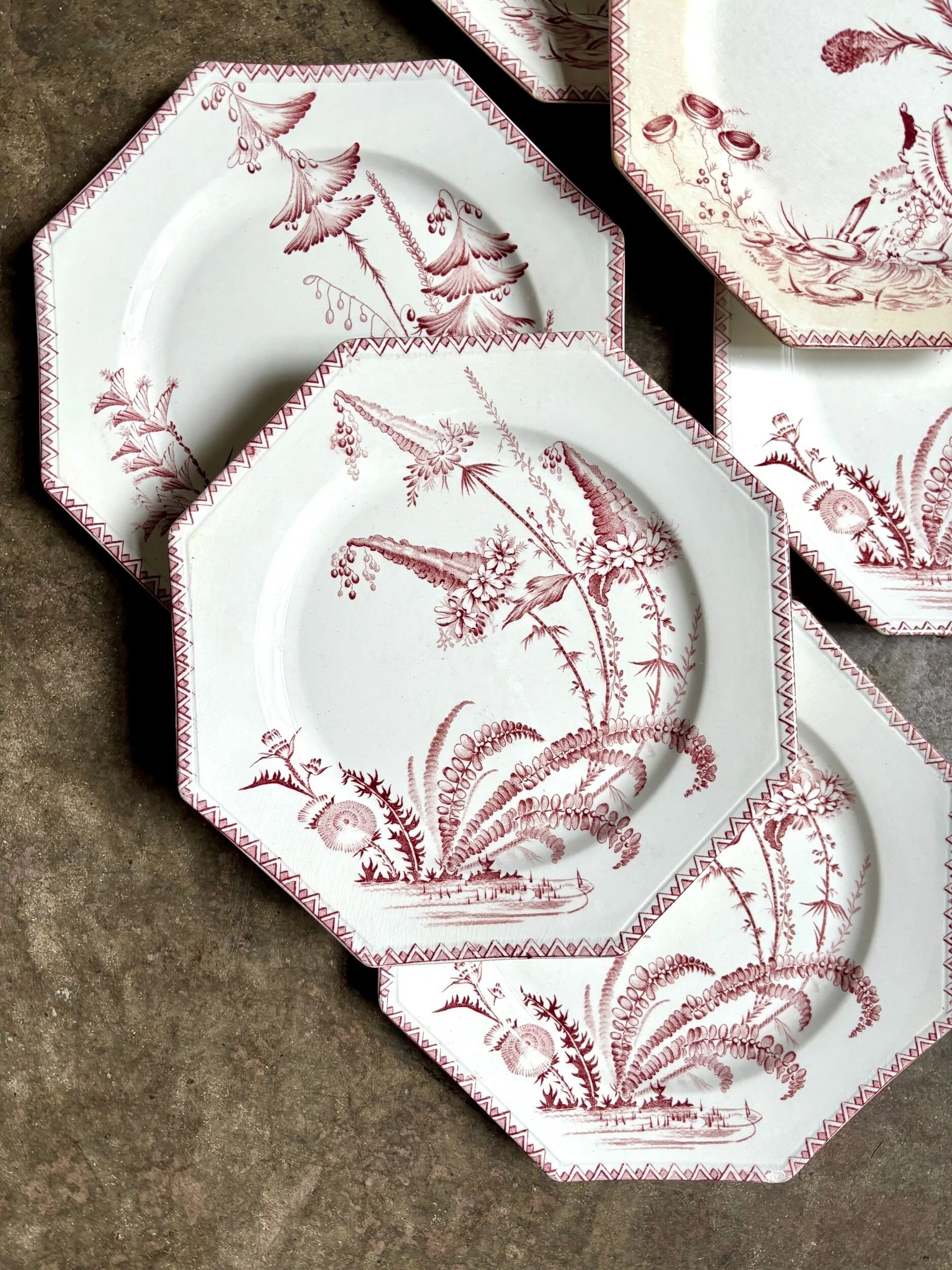 6 flat plates in ironstone Clairefontaine, "Indiana" service.