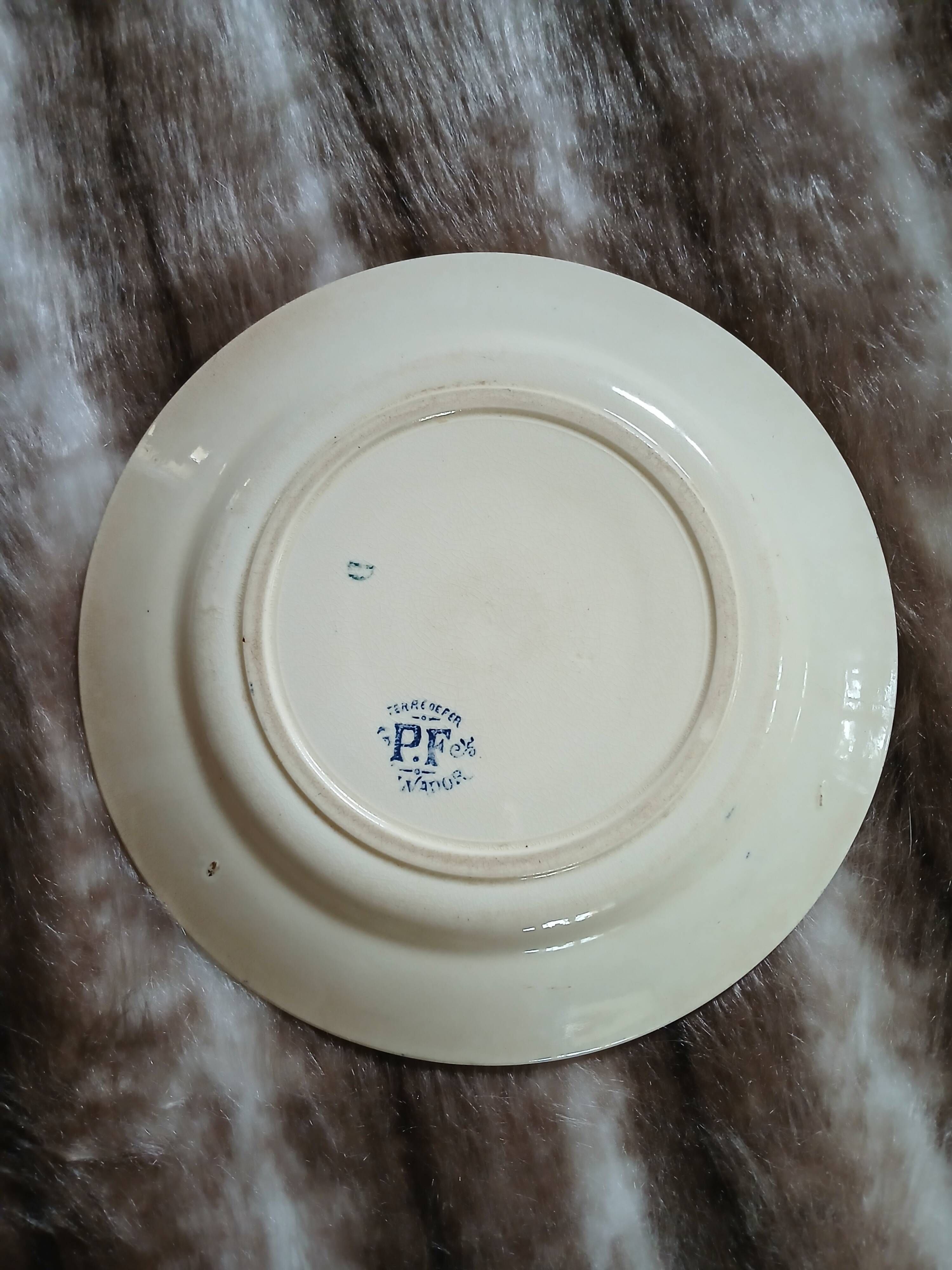6 antique flat plates in ironstone