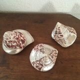 Lot 3 trocas gasteropod shells.
