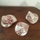 Lot 3 trocas gasteropod shells.