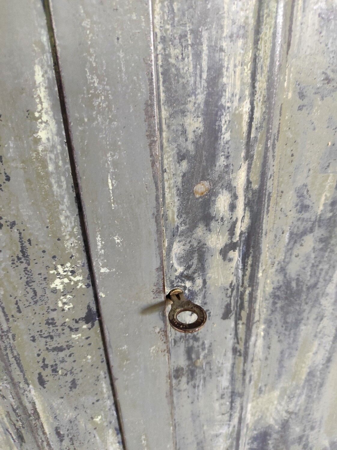 Parisian metallic wardrobe " Bauche "