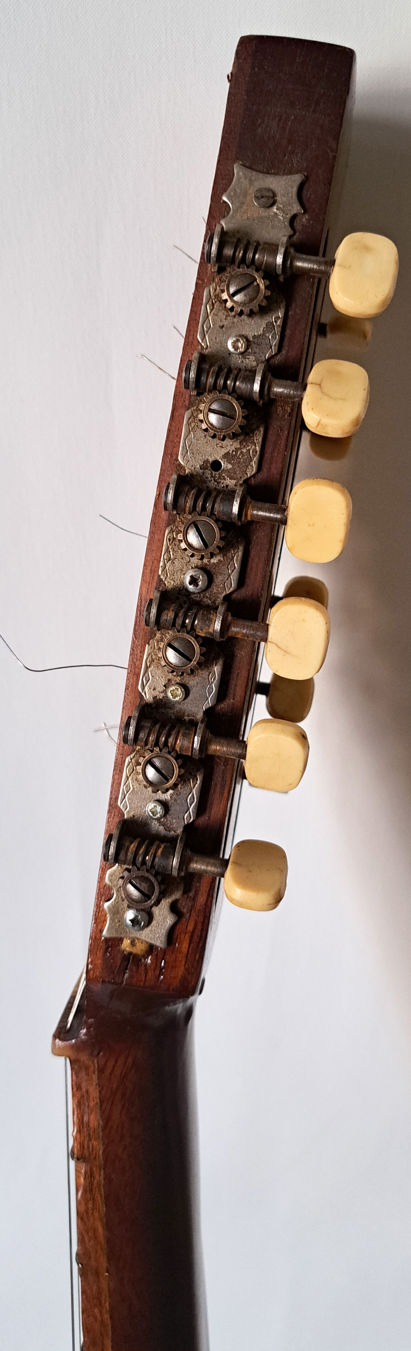 Antique instrument castellano laùd 12 strings (bandurria) - spain 1960s