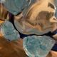 Blown glass basin signed Massimiliano Schiavon Murano Venice