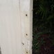 Old door in cream lacquered wood