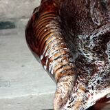 Vallauris shell dish