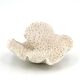 Vintage natural white coral, curiosity cabinet, 1970s