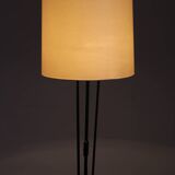 1970s Floor Lamp by Pokrok Zilina , Czechoslovakia