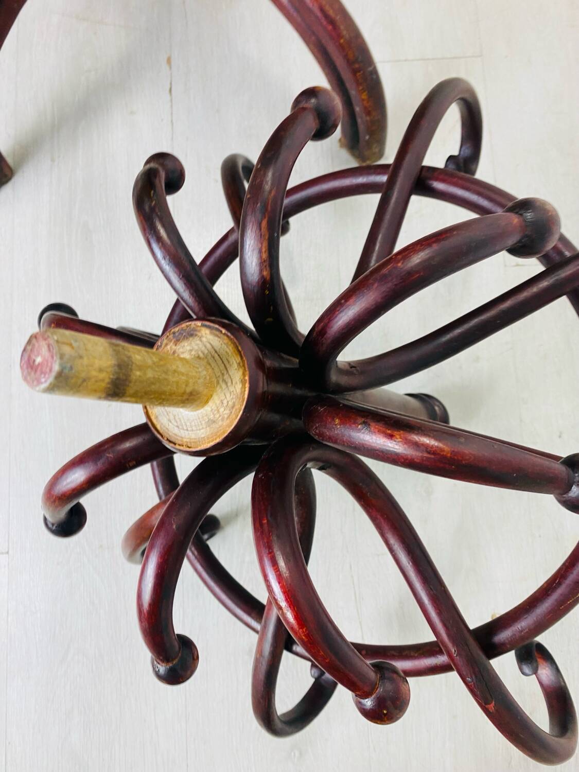 Portemanteau perroquet