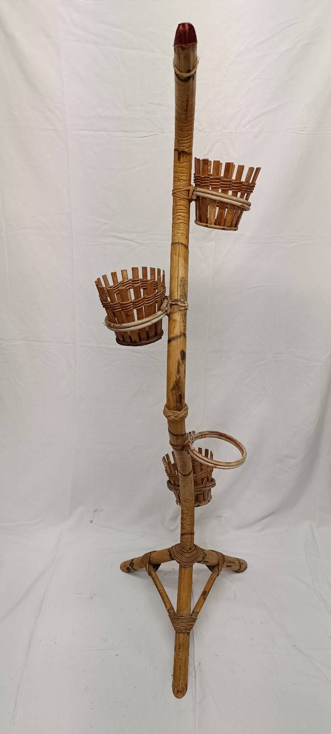 Bamboo snake