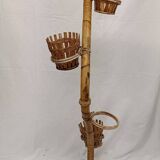 Bamboo snake