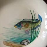 12 fish plates Proceram Cerel Aubagne, 1950s