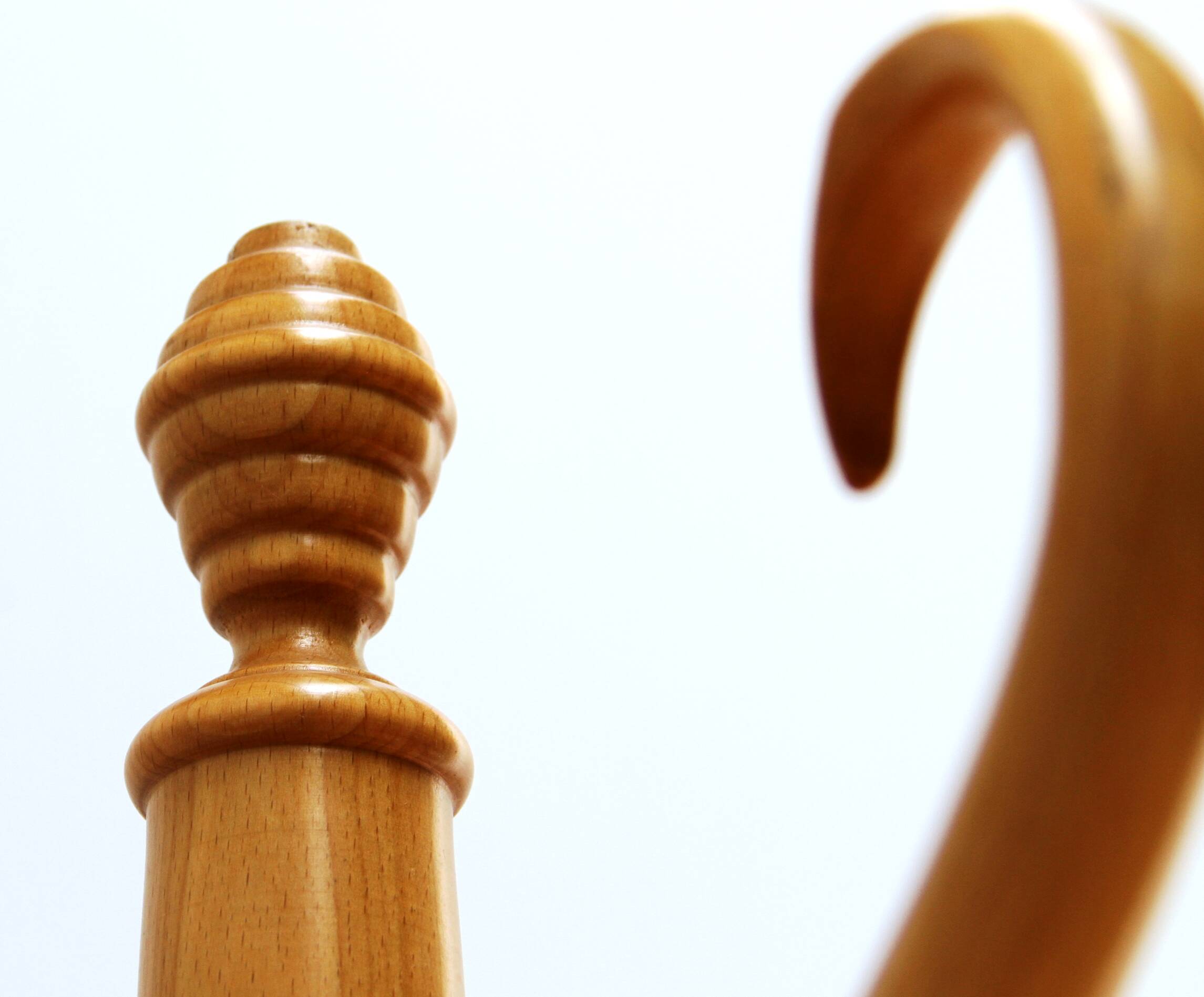 Vintage parrot coat rack