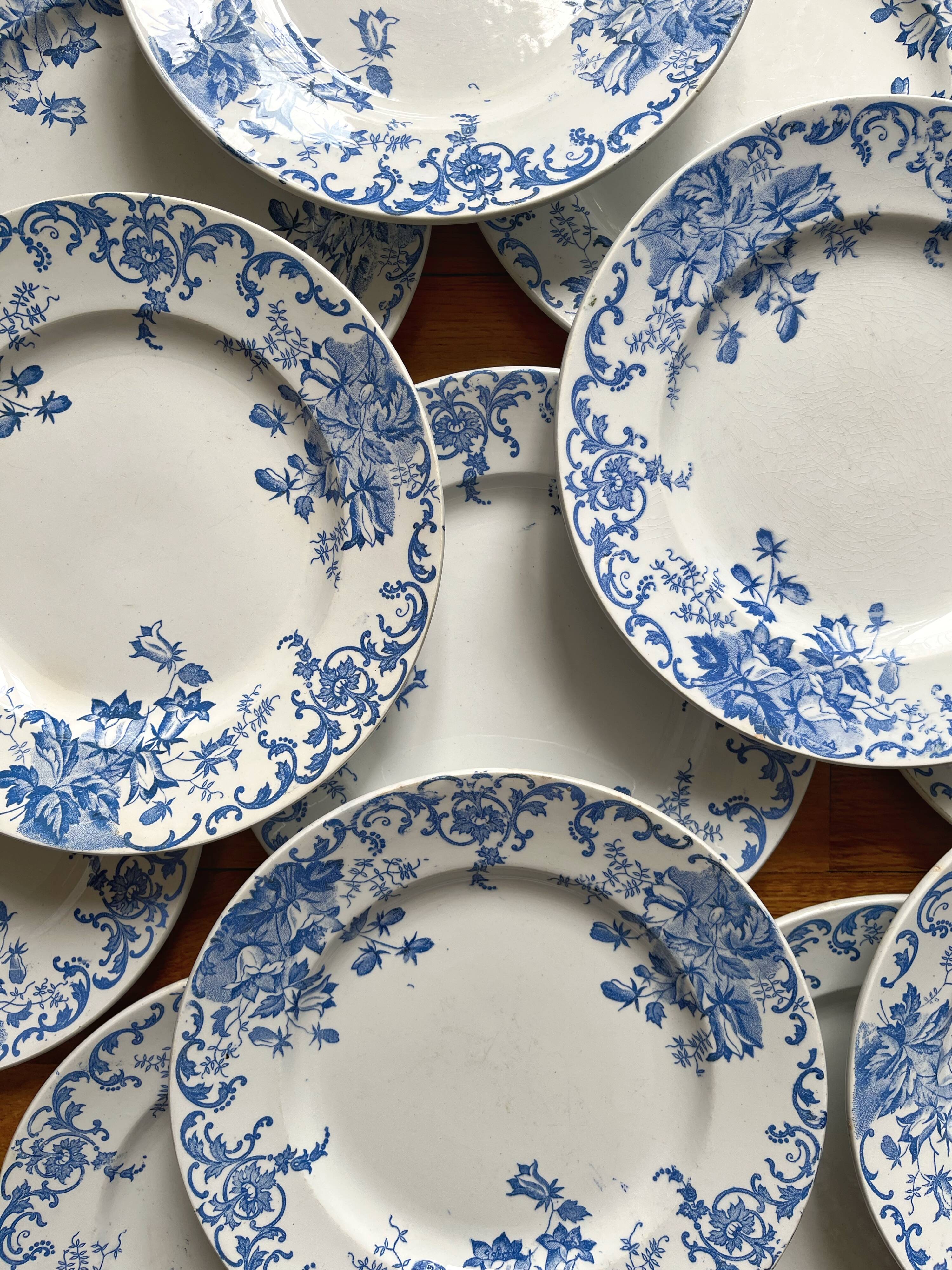 12 small flat plates "Campanule" Saint Amand and Hamage