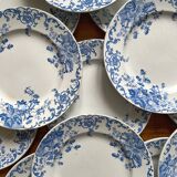 12 small flat plates "Campanule" Saint Amand and Hamage