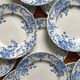 12 small flat plates "Campanule" Saint Amand and Hamage