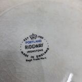 Ridgway Portland English Earthenware Plates (Set of 17)