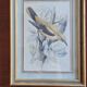3 engravings Birds Lidzars