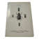 Old double-sided lithographic botanical plate.