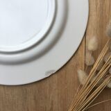 Flat plates with blue trims Quadrifoglio