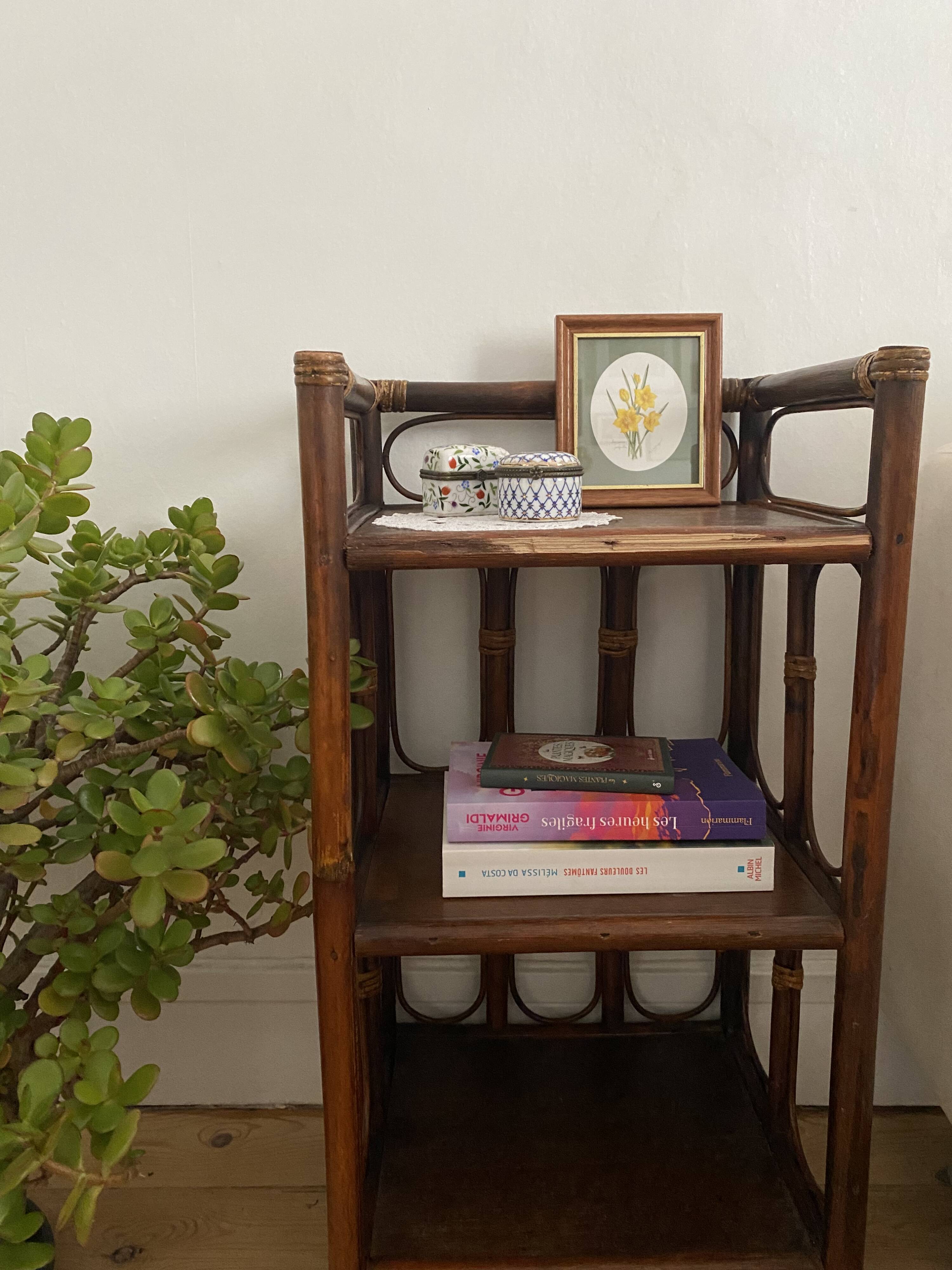 Occasional shelf bookcase in rattan