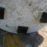 Fruit cup solid plaster