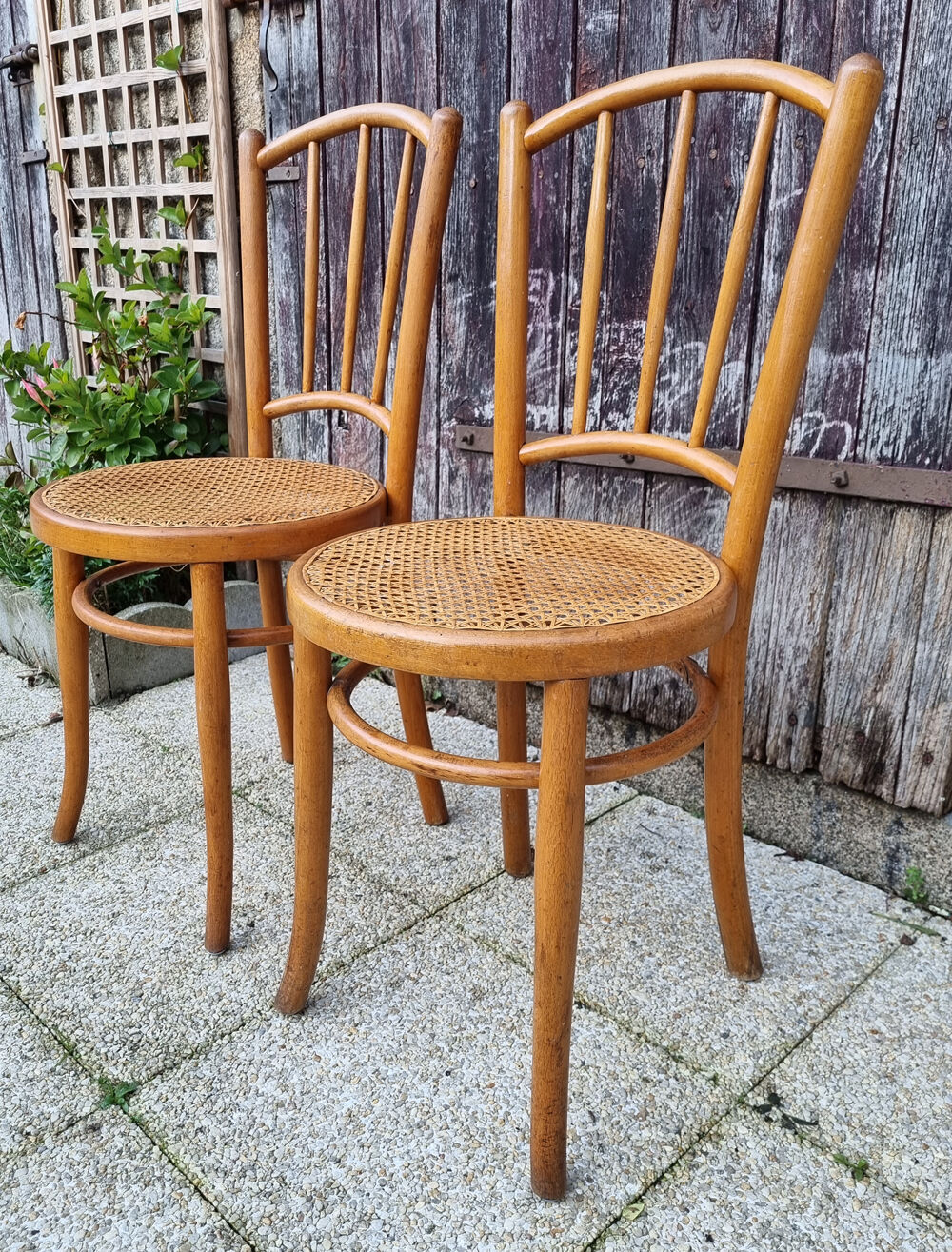 Pair of canned bistro chairs, J. Kohn early twentieth century.