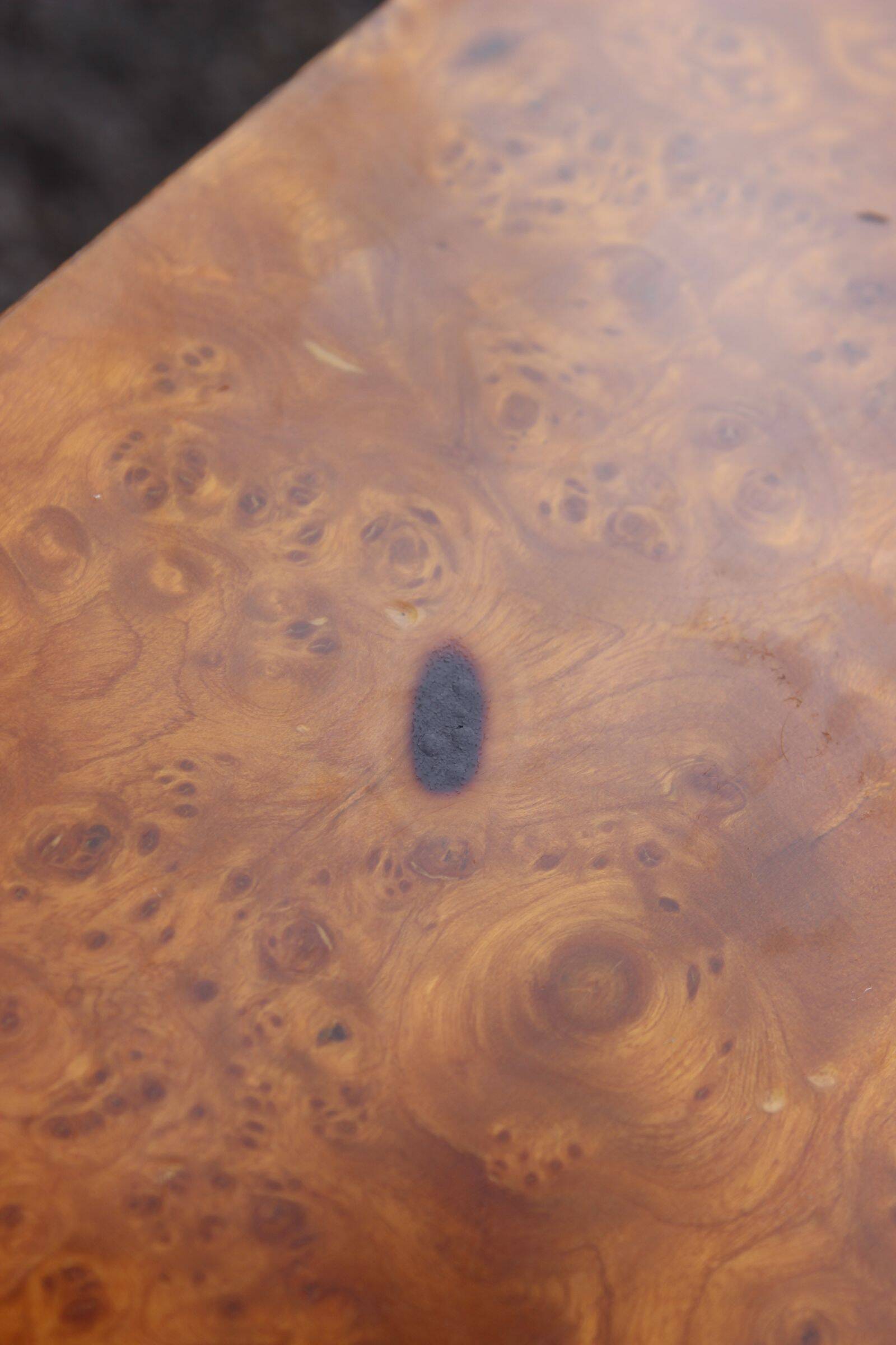 50s modernist coffee table in elm burl veneer