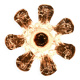 Pair of Italian wall sconces in Murano glass in the shape of a flower.