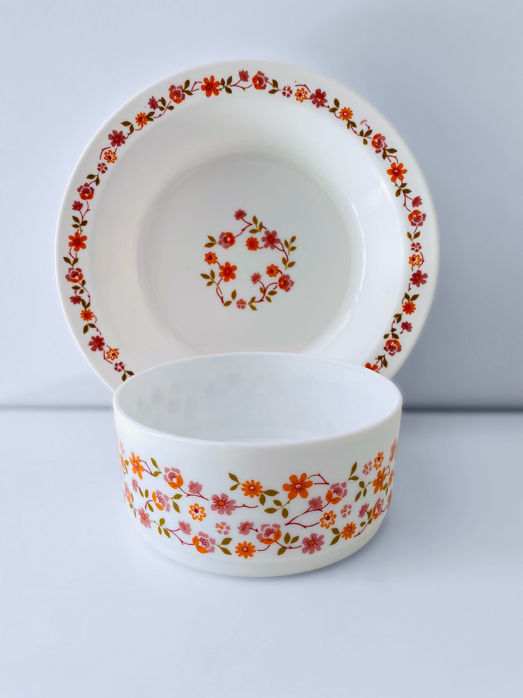 Arcopal scania dish and salad bowl