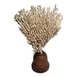 Antique large natural coral on turned wooden base, 45 cm