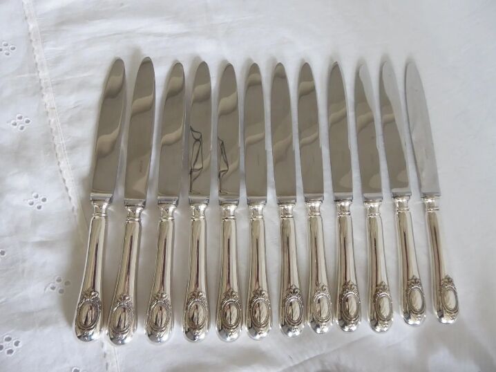 Set of 12 table knives in silver metal