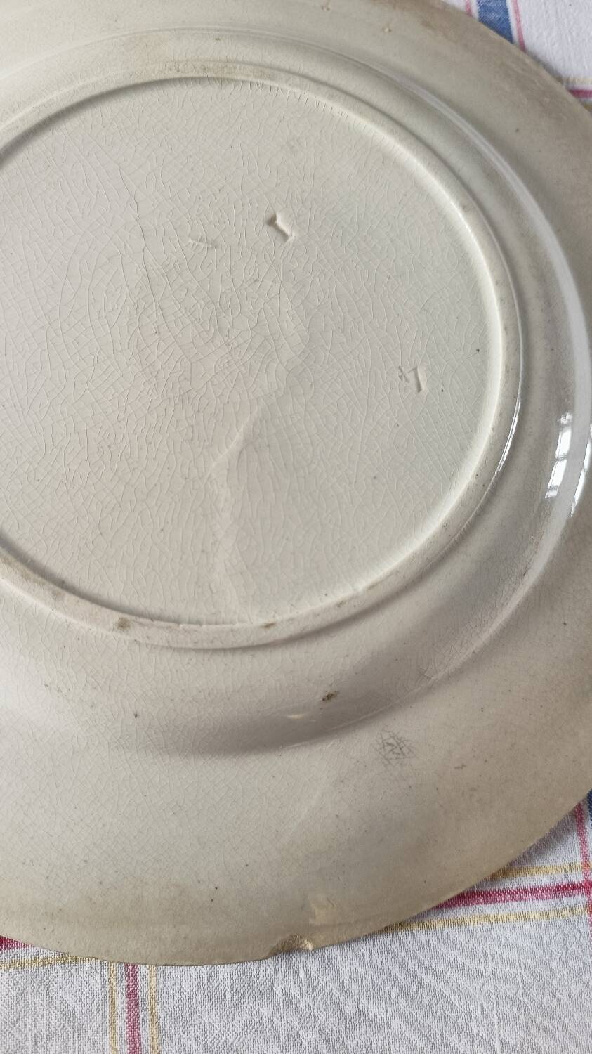 Brown bird flat plates