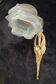 applique bronze de Charles Ranc Cygne