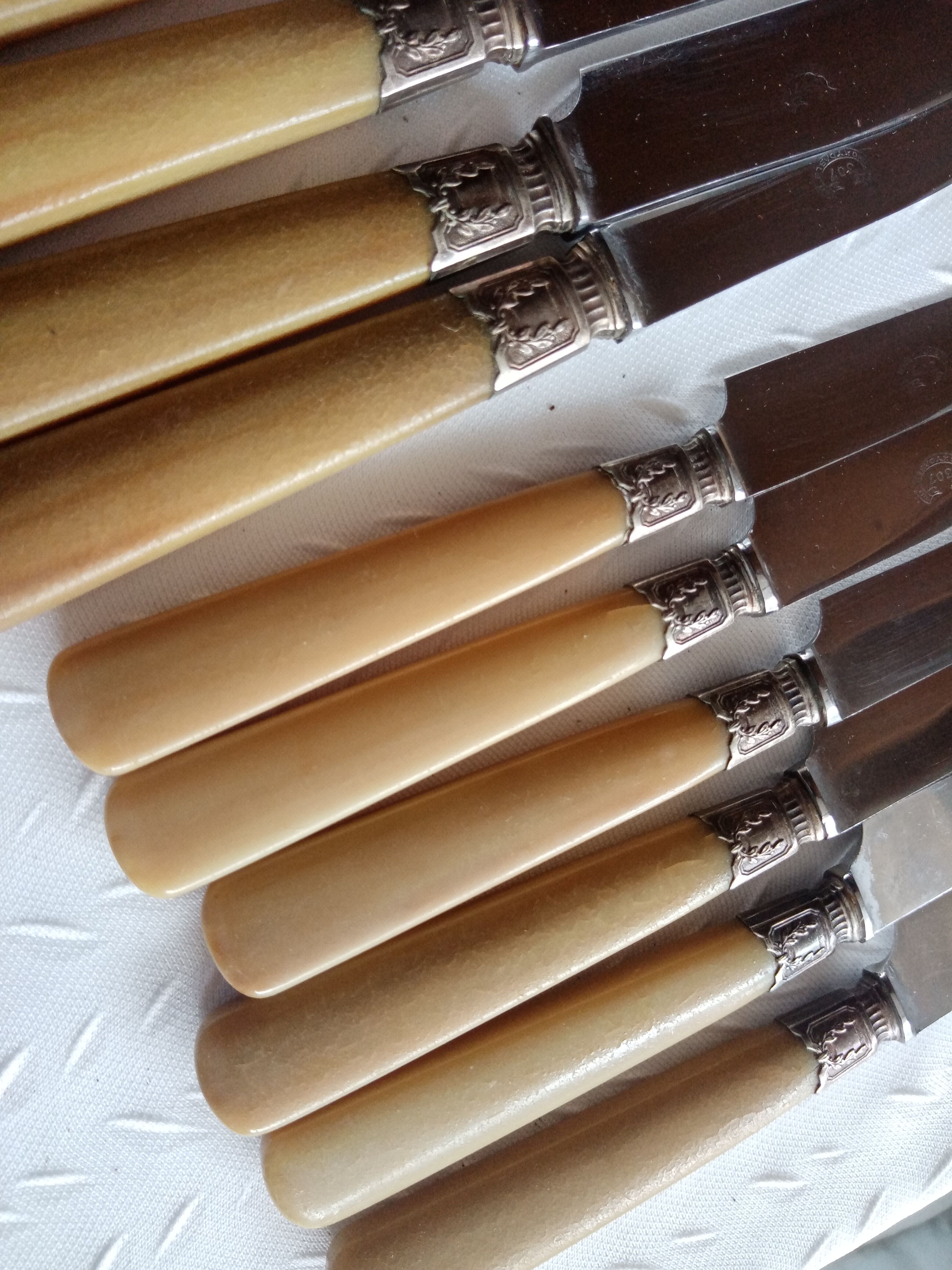 12 Old horn knives and stainless steel blades, Laurier decorative virole