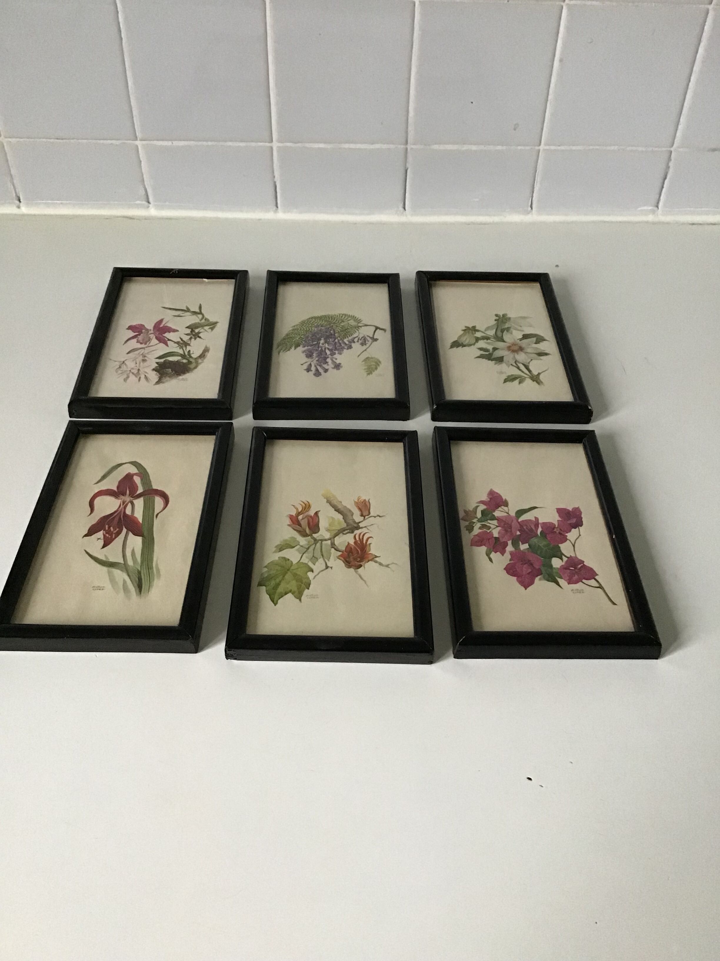 Series of small black wooden frames with an antique engraving signed with fleus. Champetres