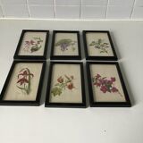 Series of small black wooden frames with an antique engraving signed with fleus. Champetres