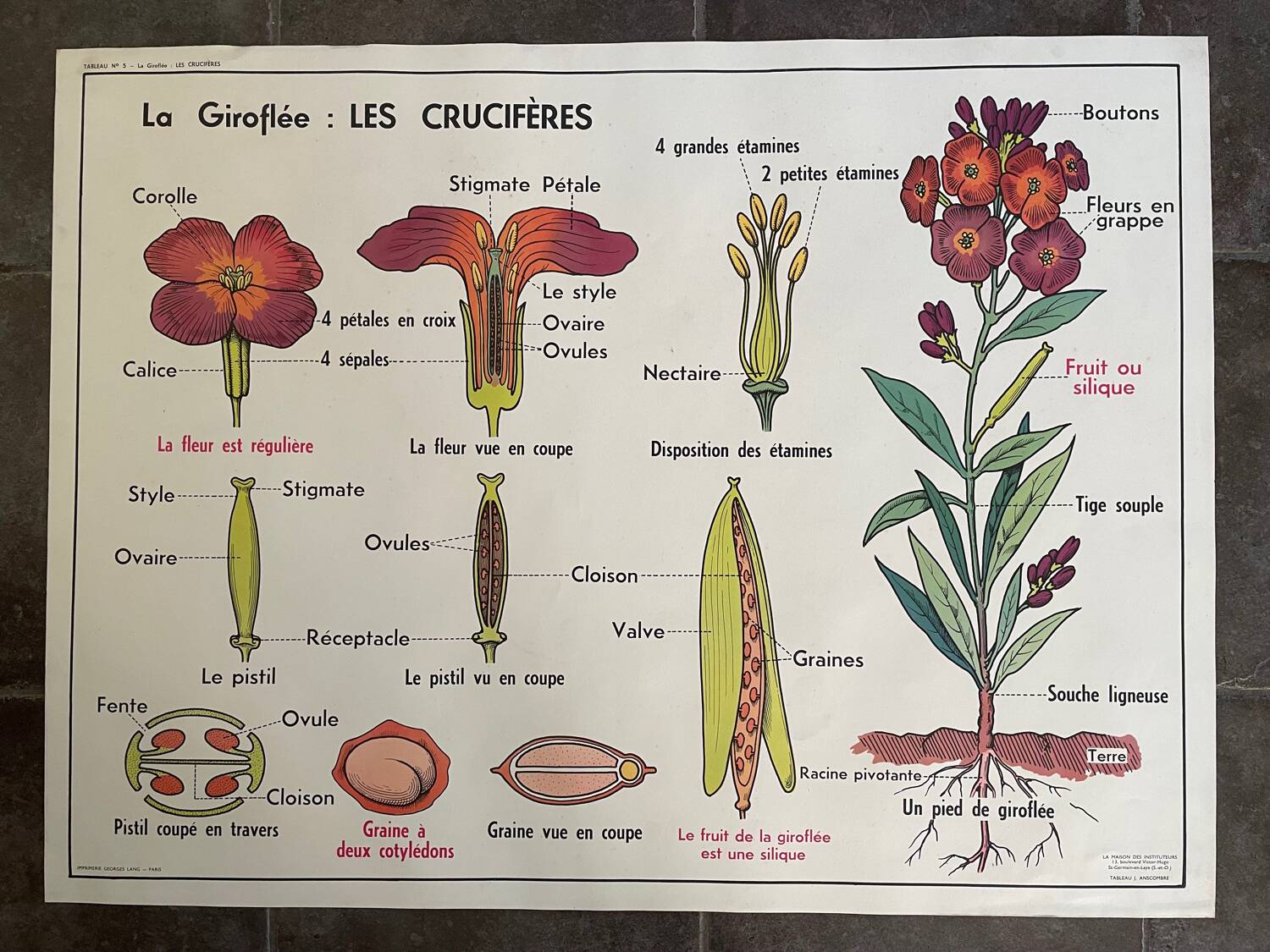 Old school educational poster, school