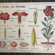 Old school educational poster, school