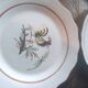 Ceramic plates. 70s/80s Work inspired by the 16th and 17th centuries.