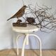 Adjustable metal pharmacy stool