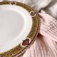 Limoges porcelain plate