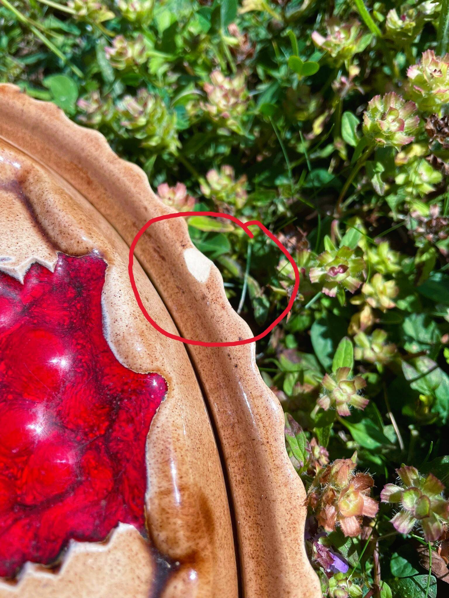 Trompe-l'oeil cherry pie dish