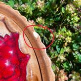 Plat à tarte en trompe-l’œil tarte aux cerises