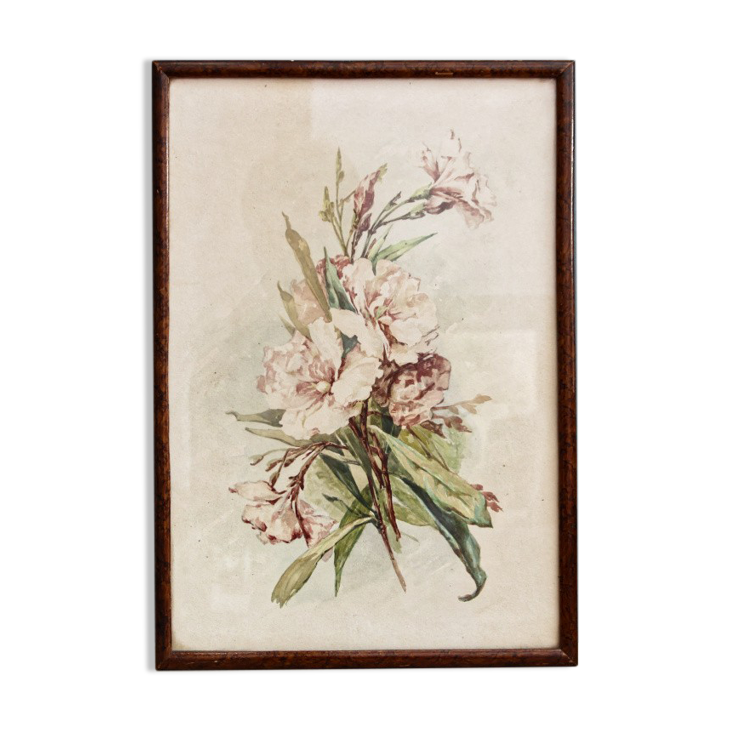 Watercolor with lisera