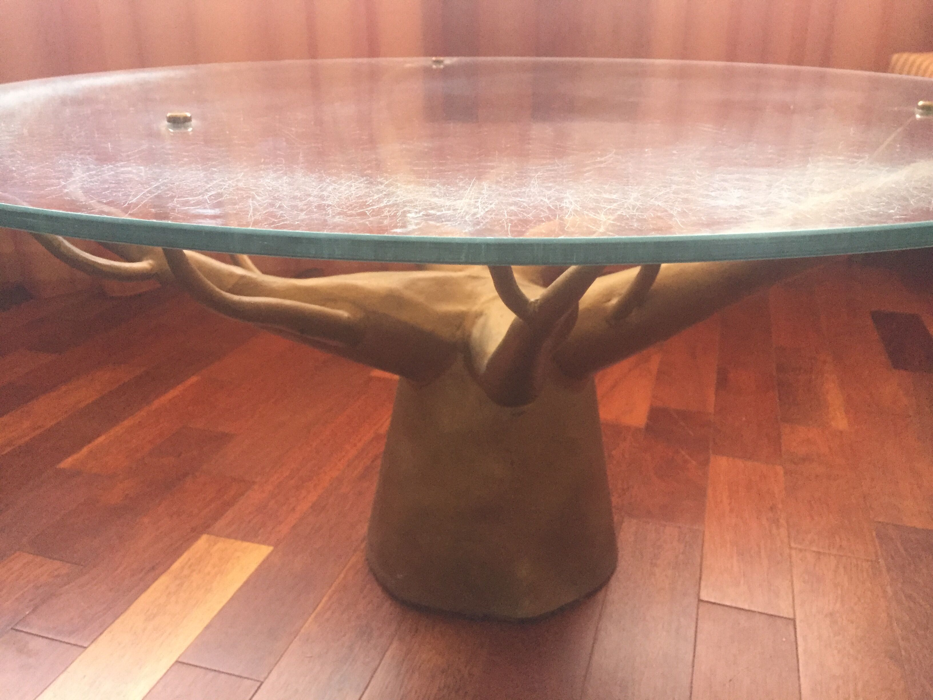 Coffee table glass foot baobab