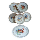 12 antique "Royal" dinner plates + 1 dish