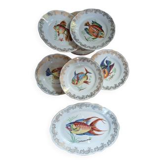 12 antique "Royal" dinner plates + 1 dish